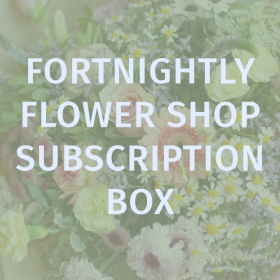 Fortnightly Flower Shop Subscription box 2 Months